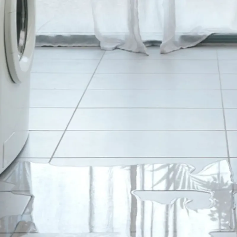 Appliance Leak Cleanup in Leesburg, AL