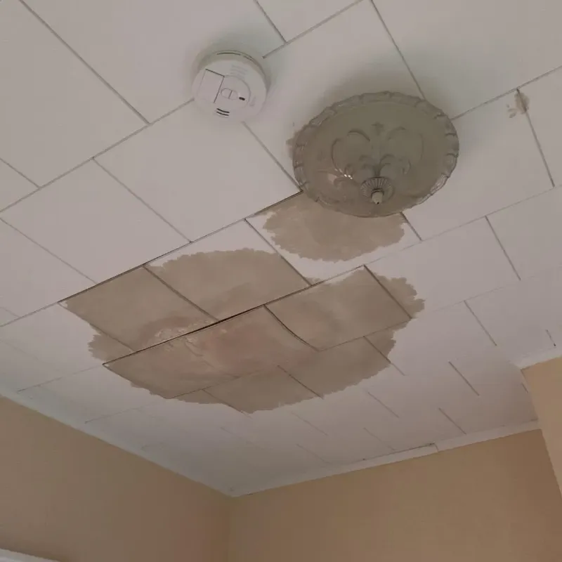 Ceiling Water Damage Repair in Leesburg, AL