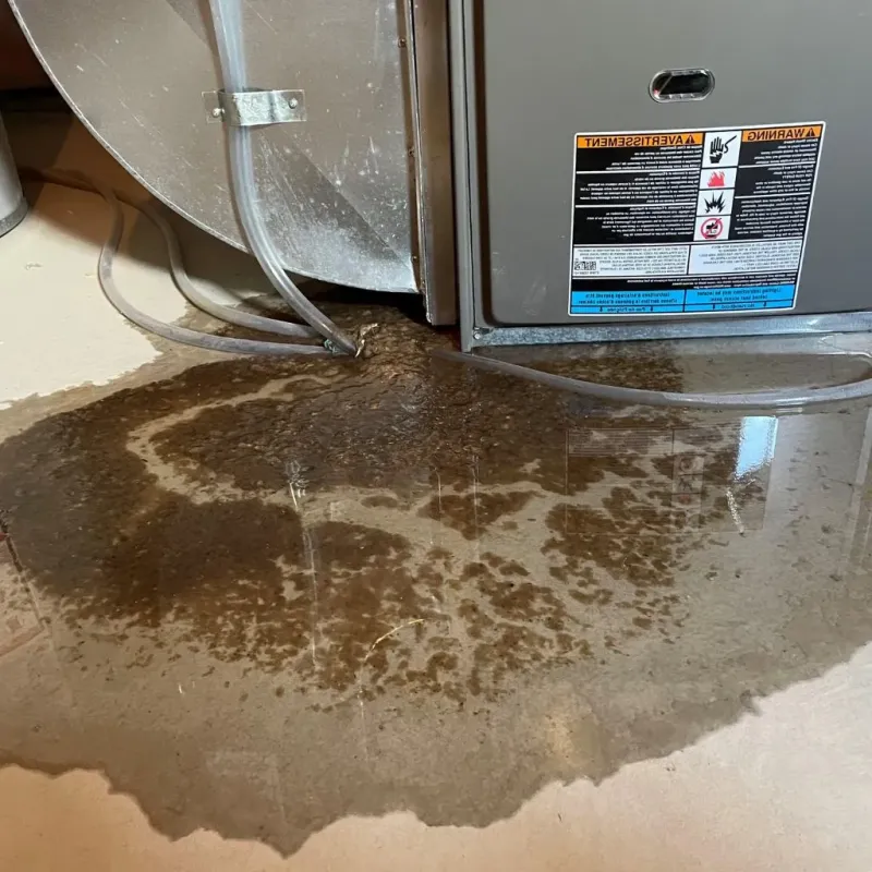 Pipe Burst and Leak Restoration in Leesburg, AL
