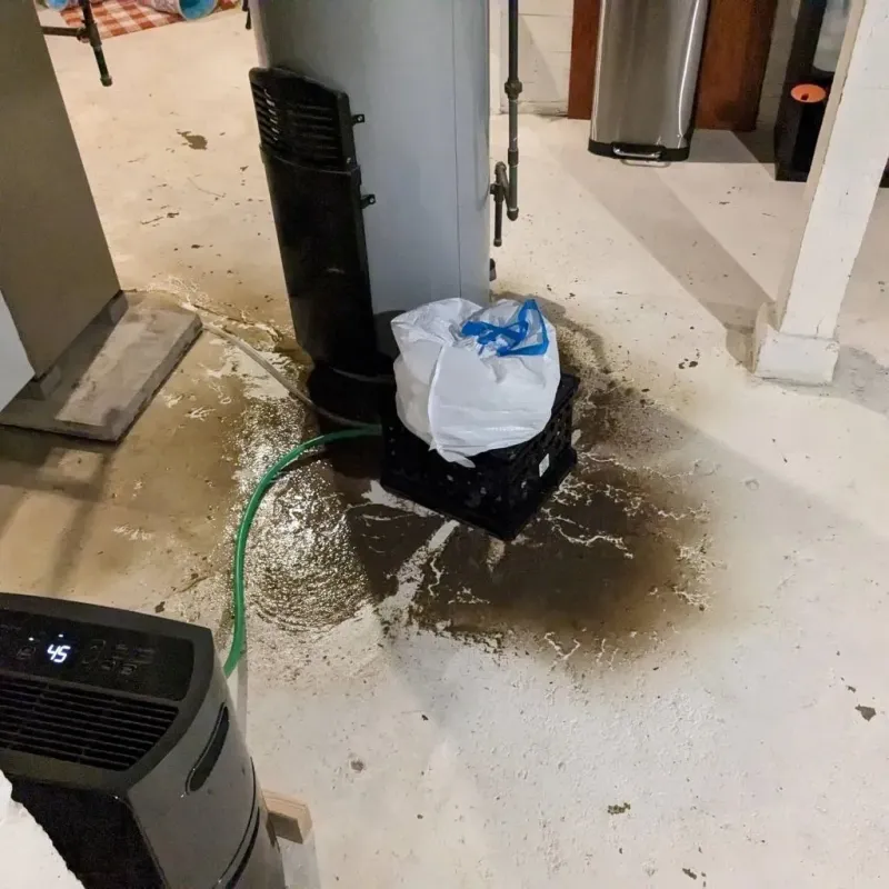 Sewage Backup Cleanup Service in Leesburg, AL